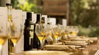 IGP Aceite de Ibiza 8 4 6