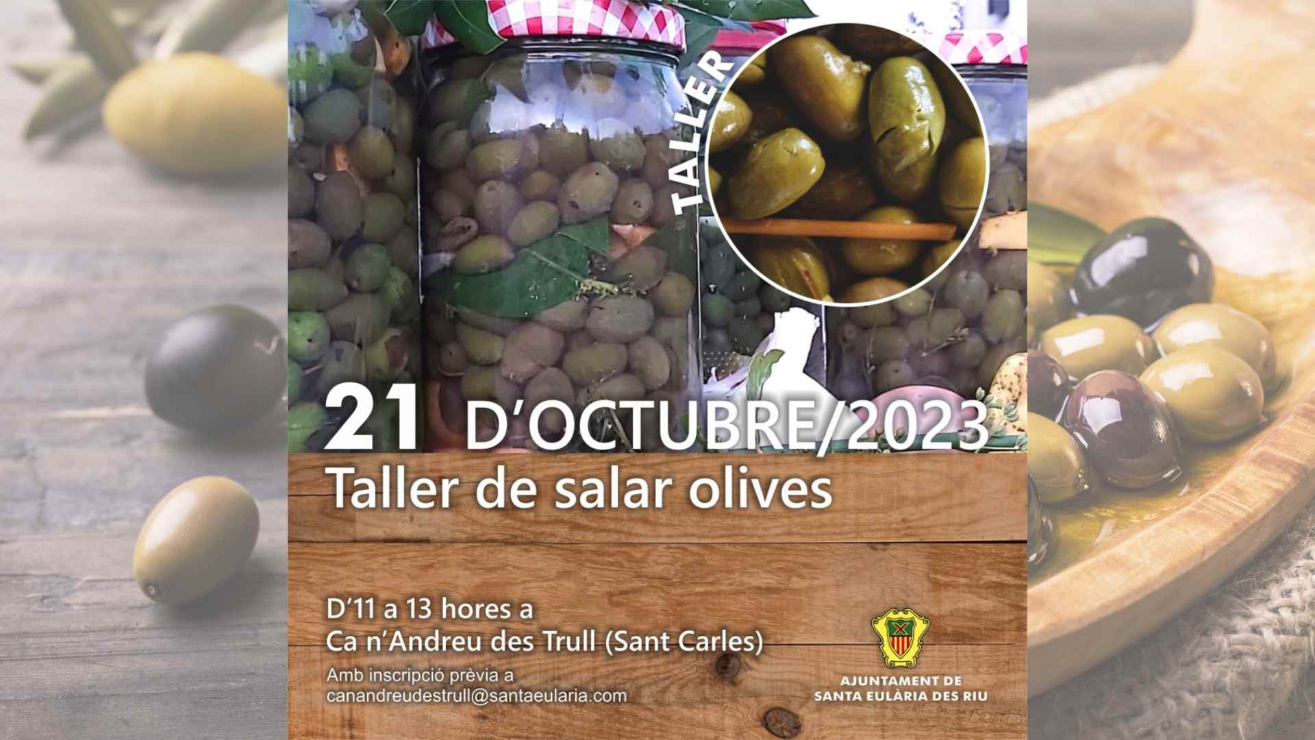 Taller de Salar Aceitunas en Ibiza