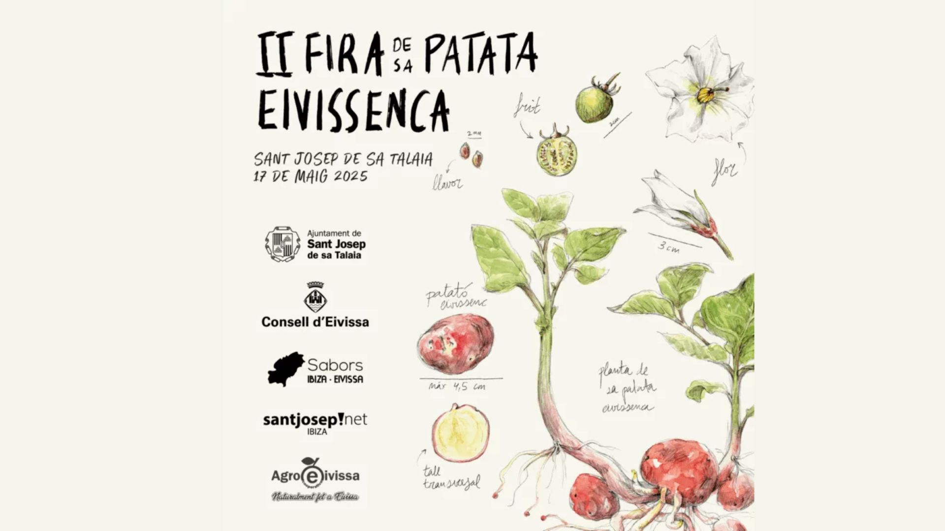 Feria de la patata Ibiza 2025