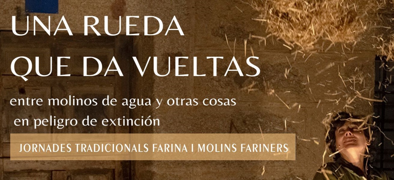 jornadas tradicionales harina y molinos tradicionales