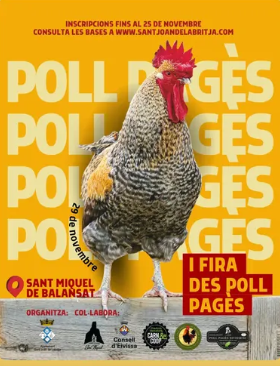 Fira poll pagès Sant Miquel