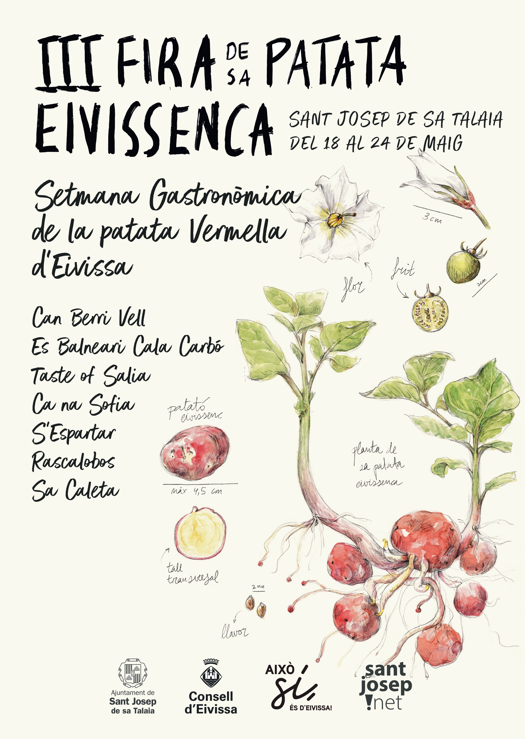 Semana gastronómica de la patata roja ibicenca