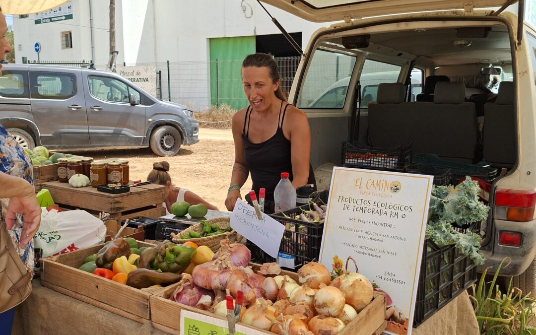 Entrevistamos a Linda Odini, productora ecológica de Ibiza para conocer más de un sistema de producción que pone el foco en una producción más natural.