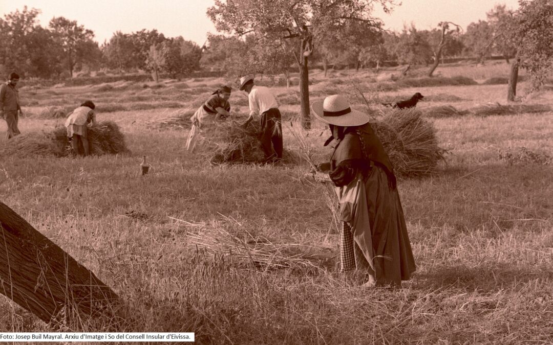 Día internacional de la Mujer Rural: 15 de noviembre